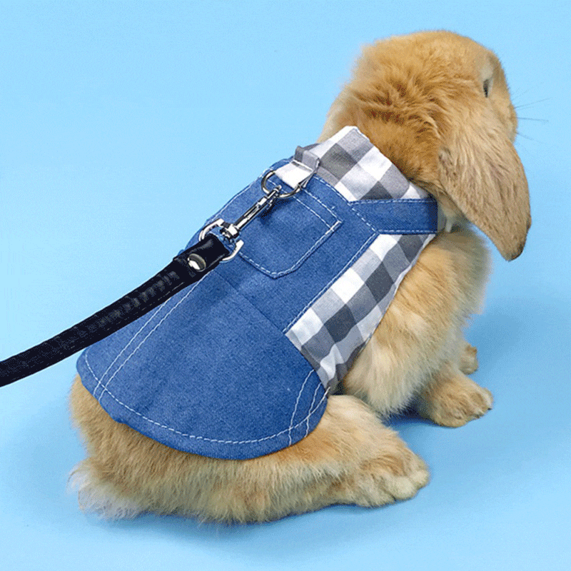 Obleček pro králíčky