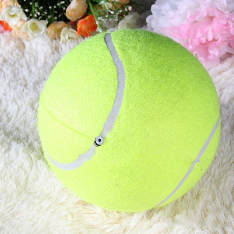Velký tenisový míček