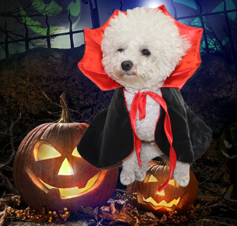 Drakula psí kostým