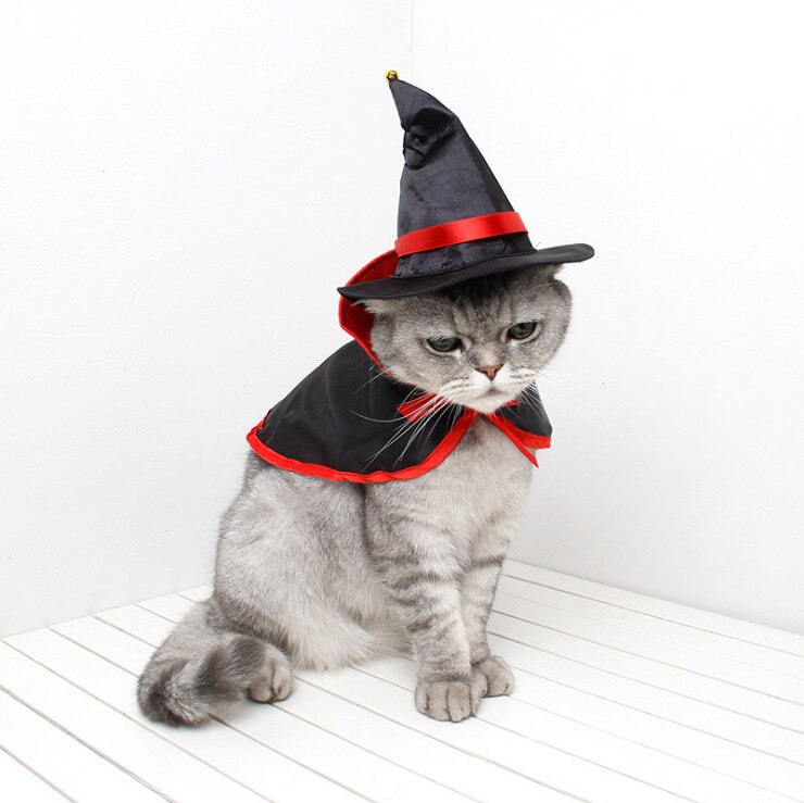 Kočičí Halloweenský obleček