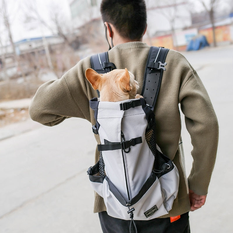Outdoorový batoh na malé psy
