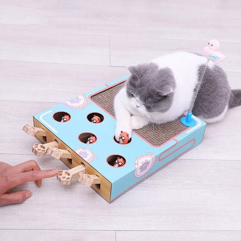 Kočičí game box