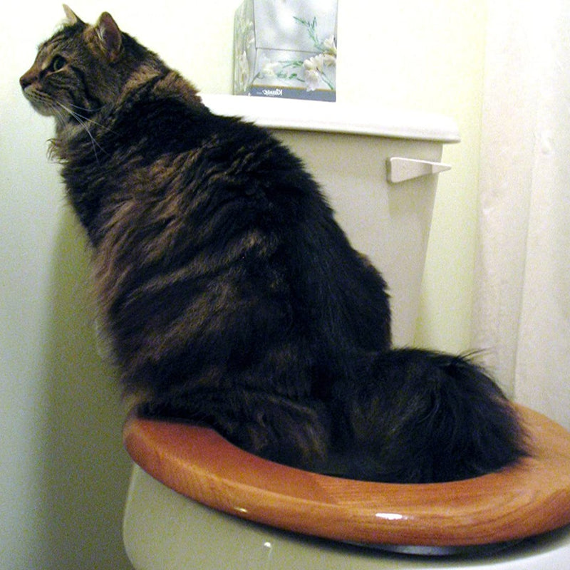 Kočičí sedátko na toaletu