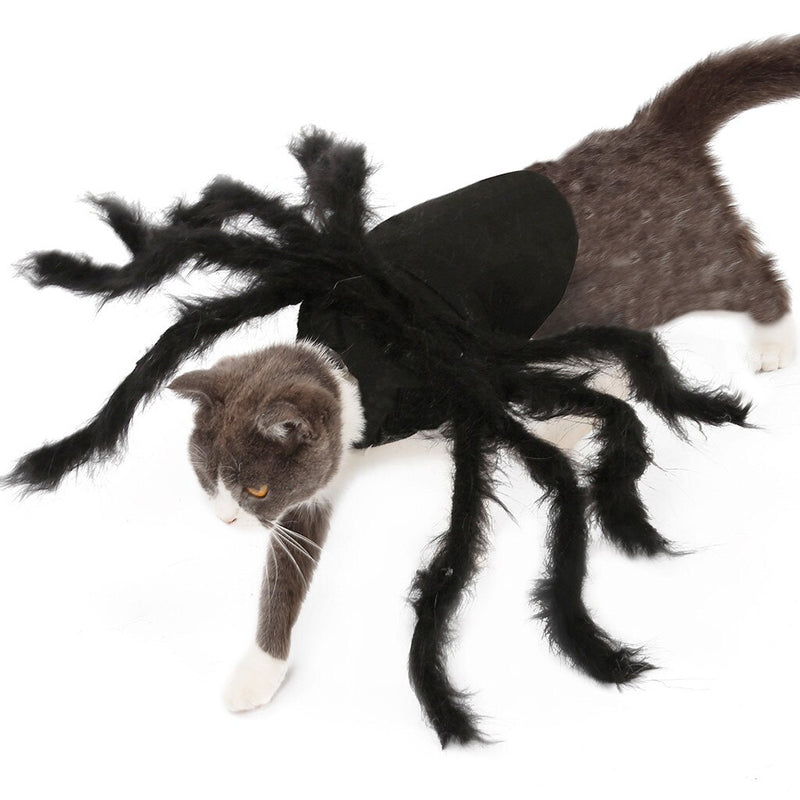 Pavoučí oblek pro kočky