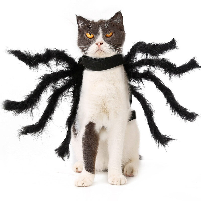 Pavoučí oblek pro kočky