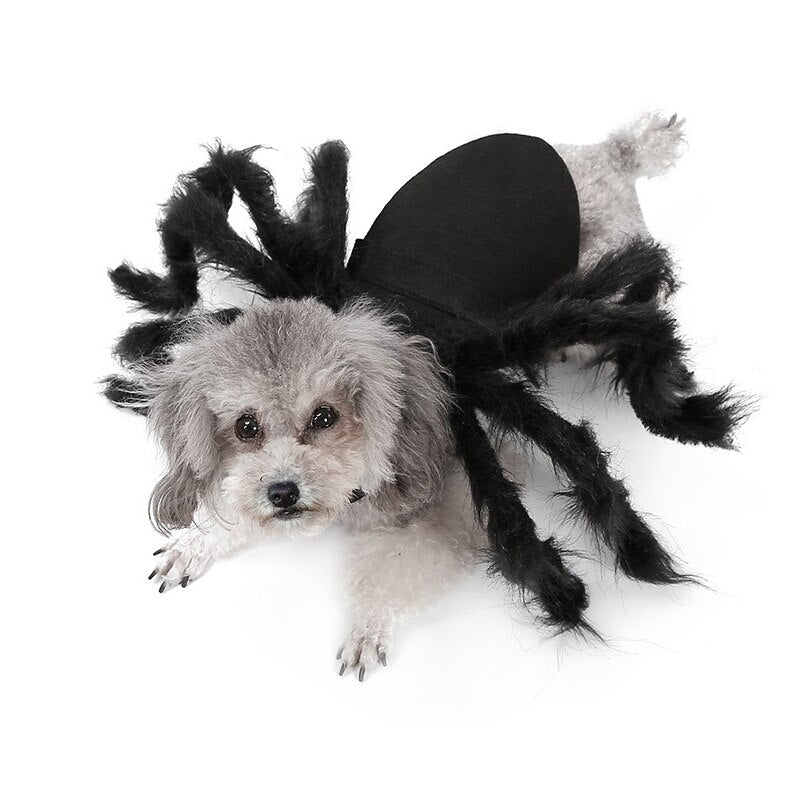 Obleček pro psy a kočky na Halloween