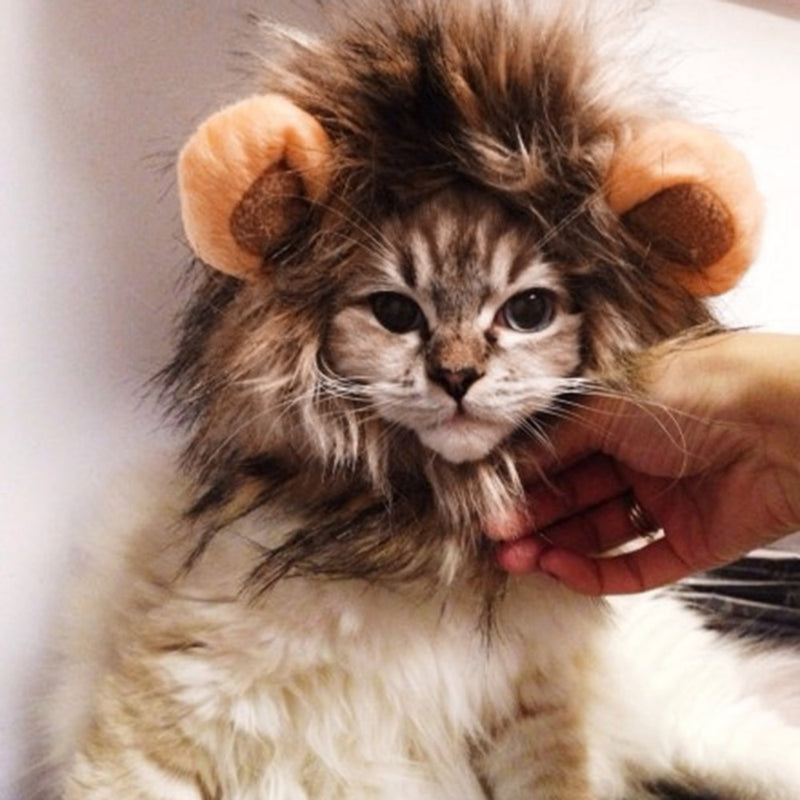 Čepice pro kočky ve stylu lva
