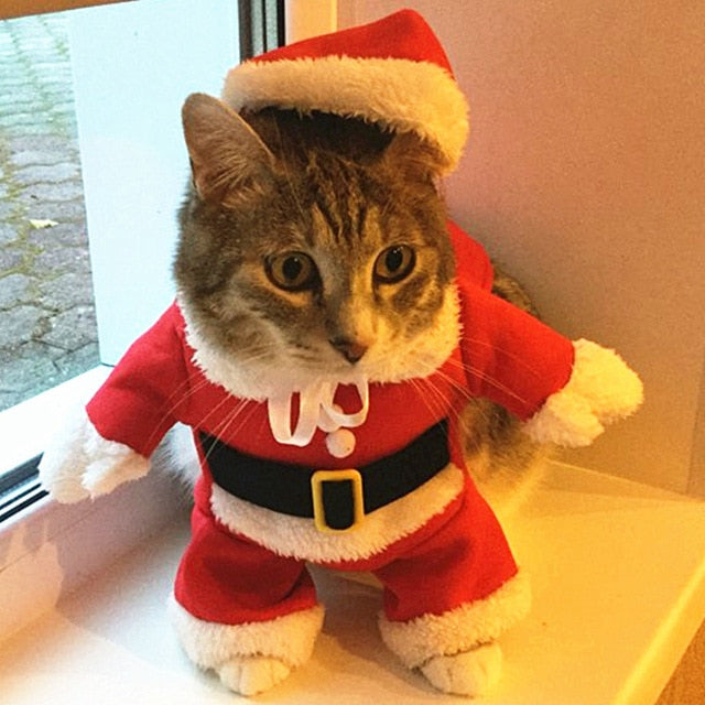 Vánoční obleček pro kočky