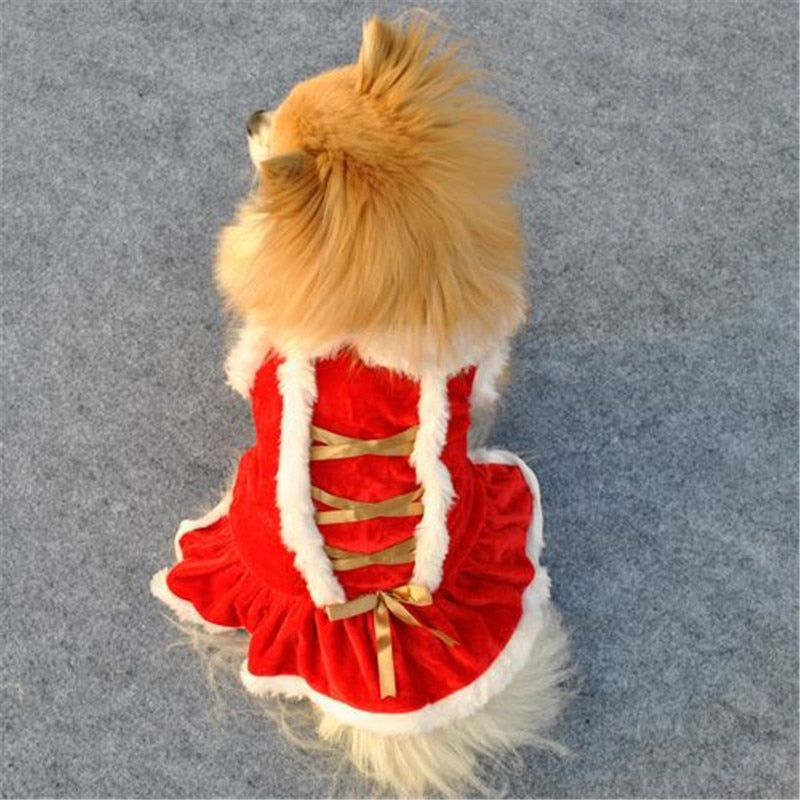 Vánoční šaty pro psy