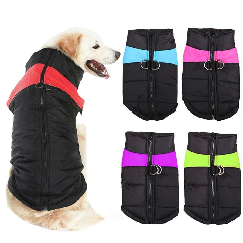 Zimní sportovní kabát pro psy