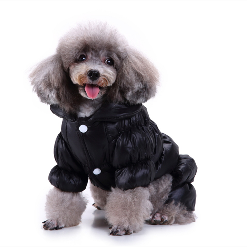 Luxusní bunda pro psy (Výprodej)