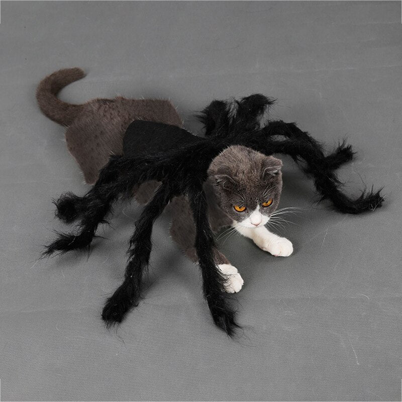 Obleček pro psy a kočky na Halloween