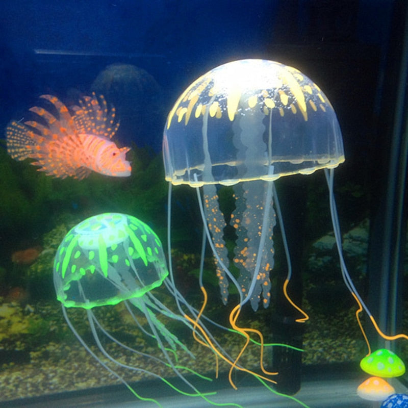 Zářící medúzy do akvária