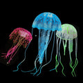 Zářící medúzy do akvária