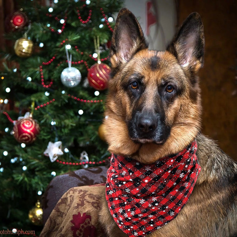 Vánoční šátek pro psy