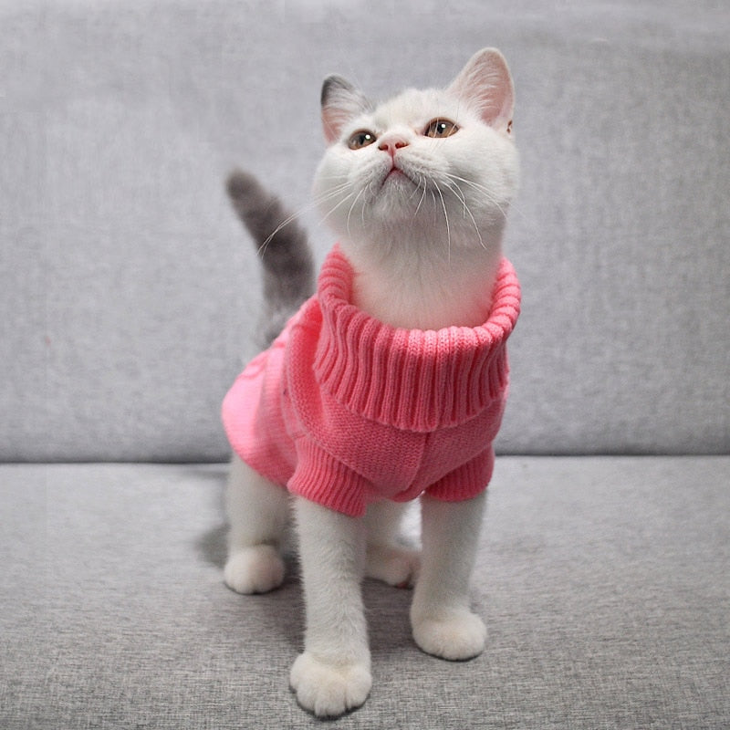 Jednoduchý svetr pro kočky