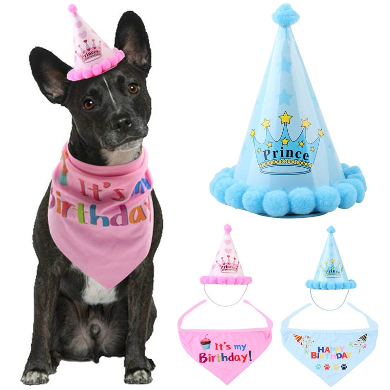 Obleček pro psy na narozeniny