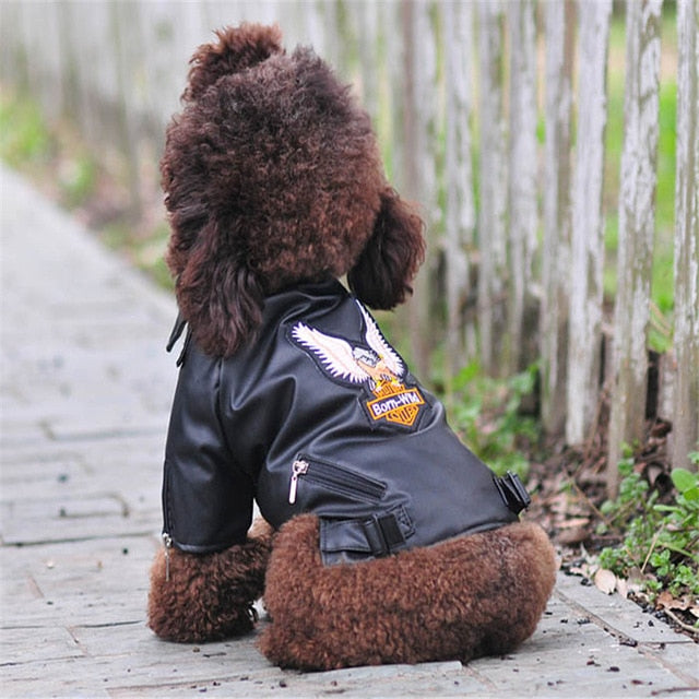 Kožená bunda pro psy (Výprodej)