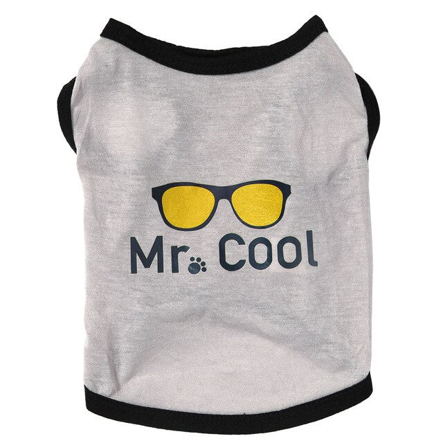 Obleček pro psy Mr. Cool