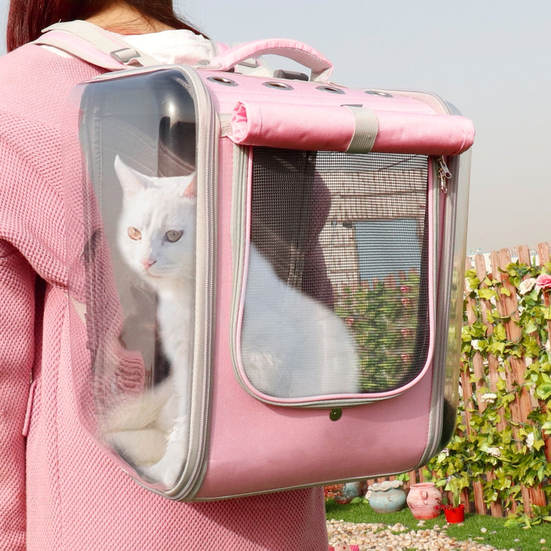 Batoh na přepravu koček