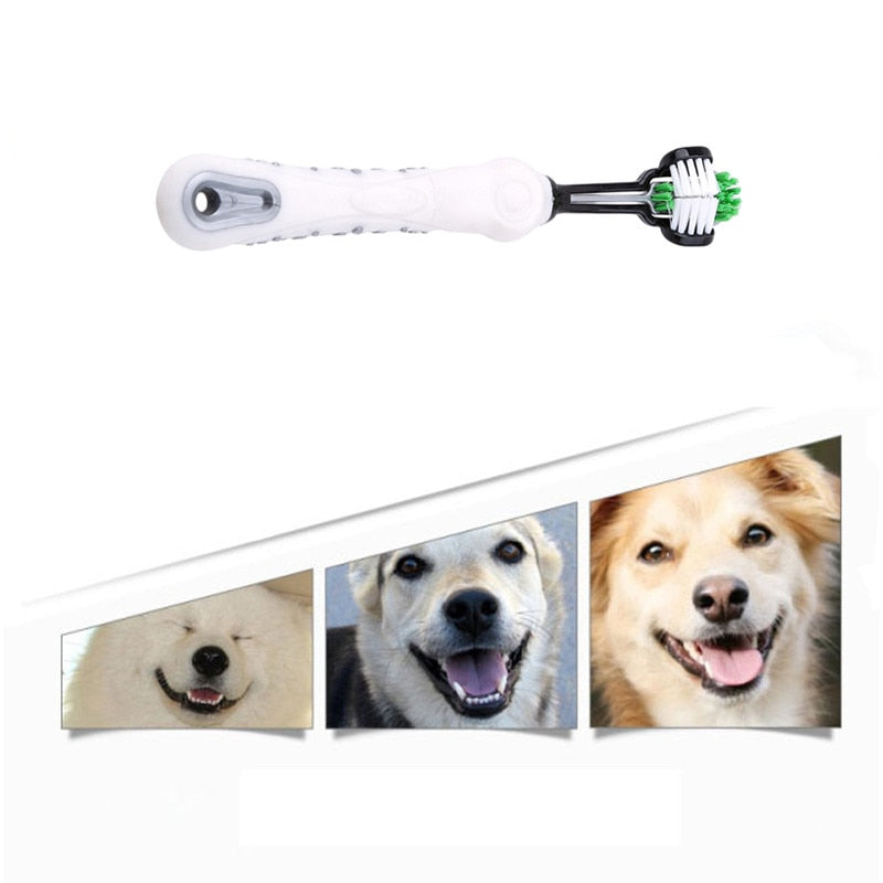 Zubní kartáček pro psy