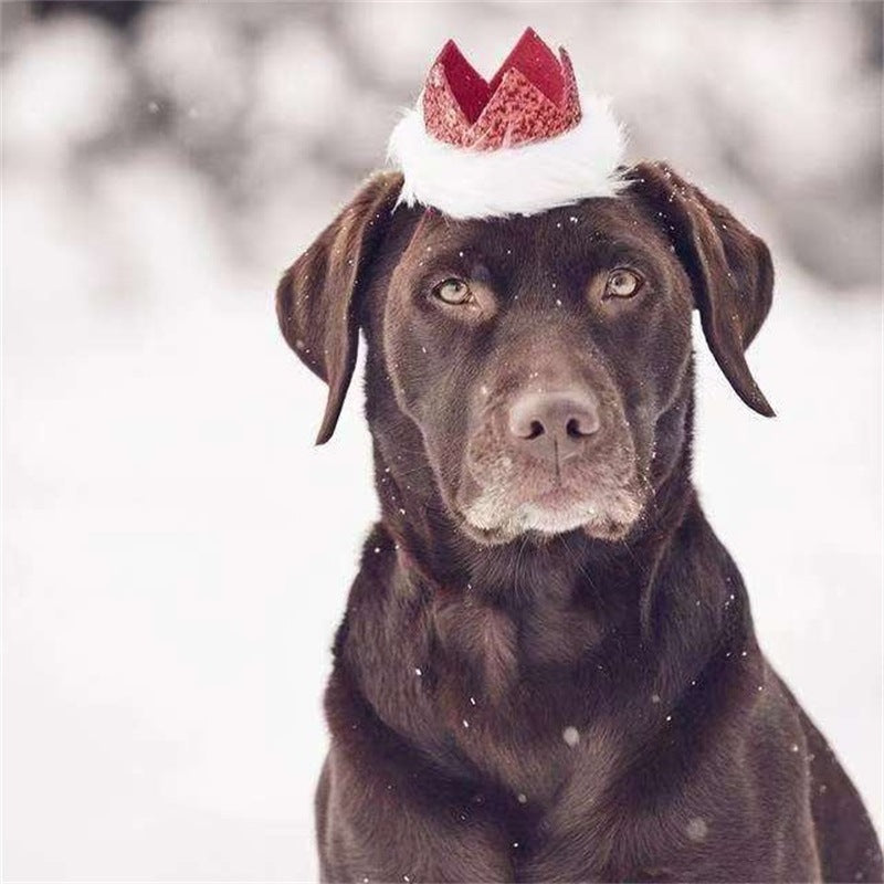 Vánoční flitrované doplňky pro psy