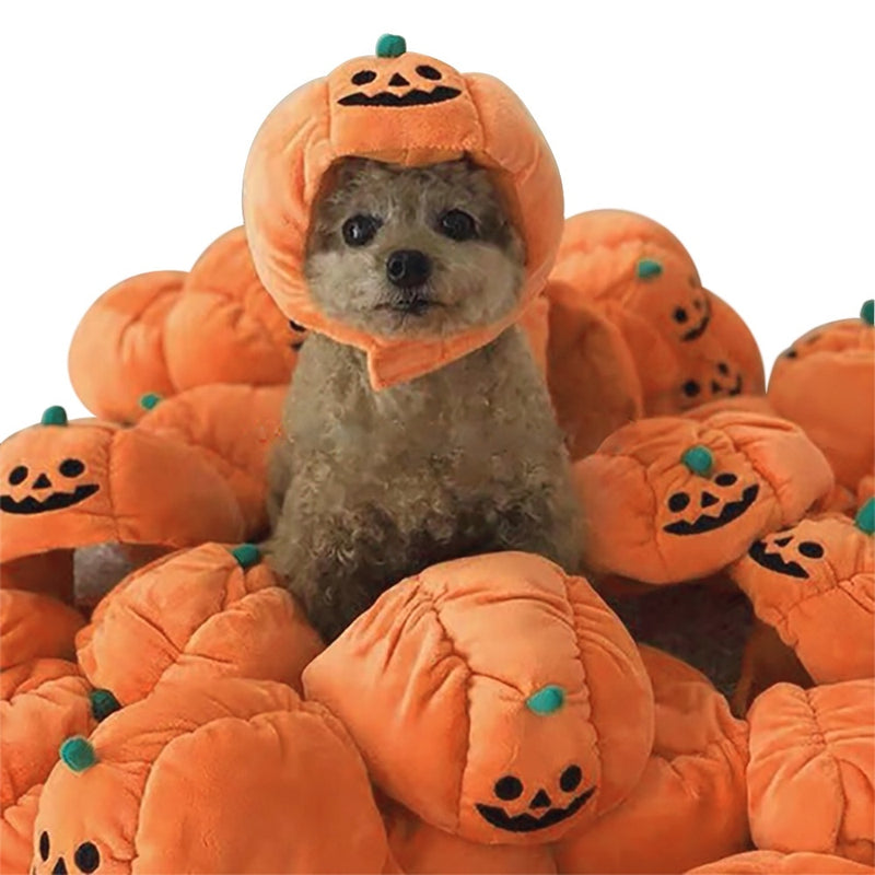 Halloweenská psí čepice