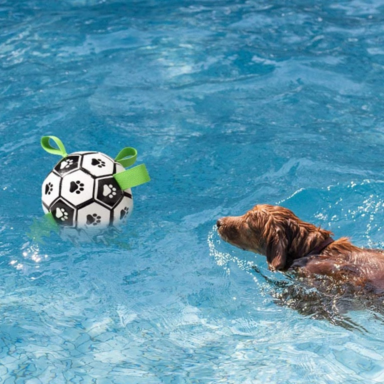 Tréninkový míček pro psy