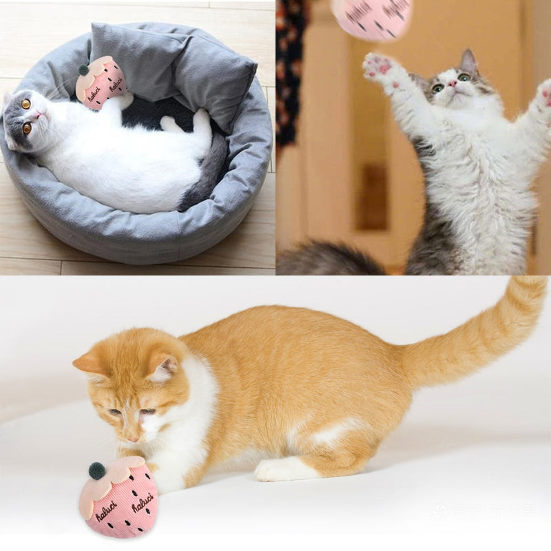 Interaktivní hračky pro kočky