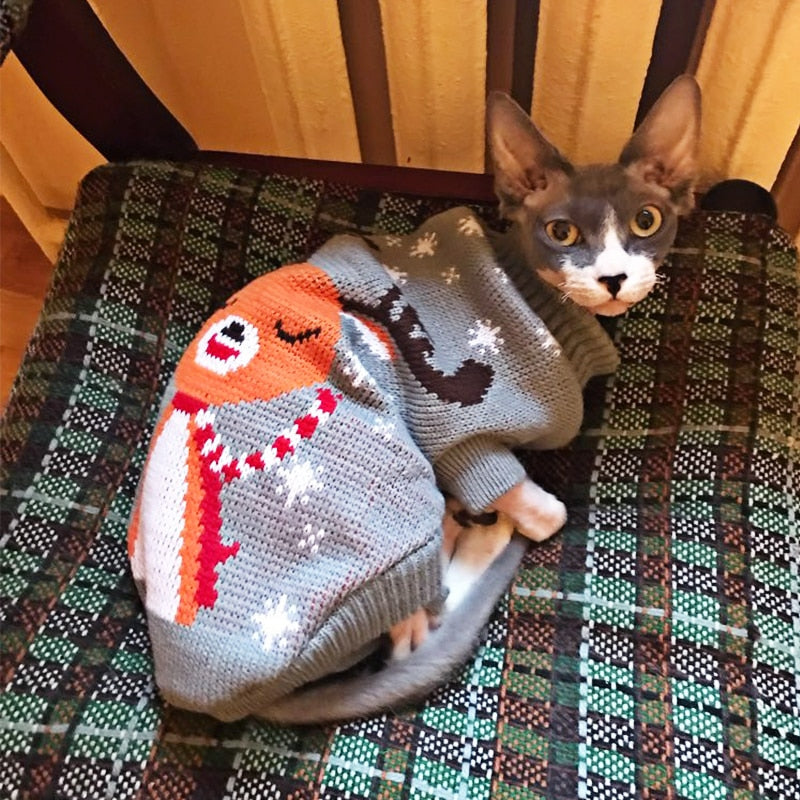 Teplý svetr pro kočky