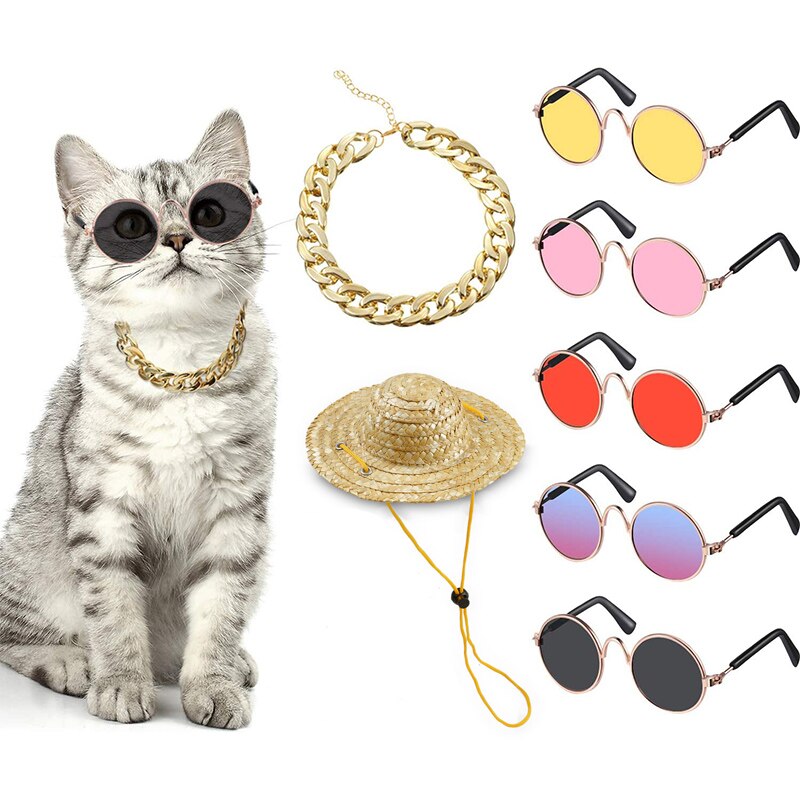 Roztomilé brýle pro kočky