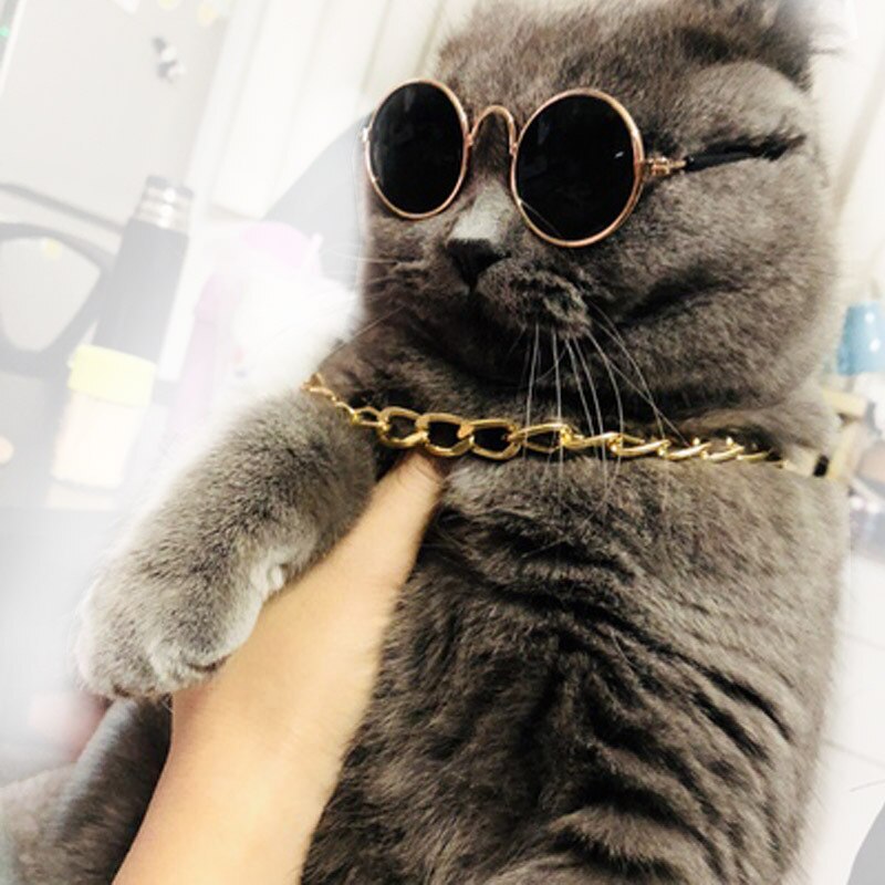Roztomilé brýle pro kočky