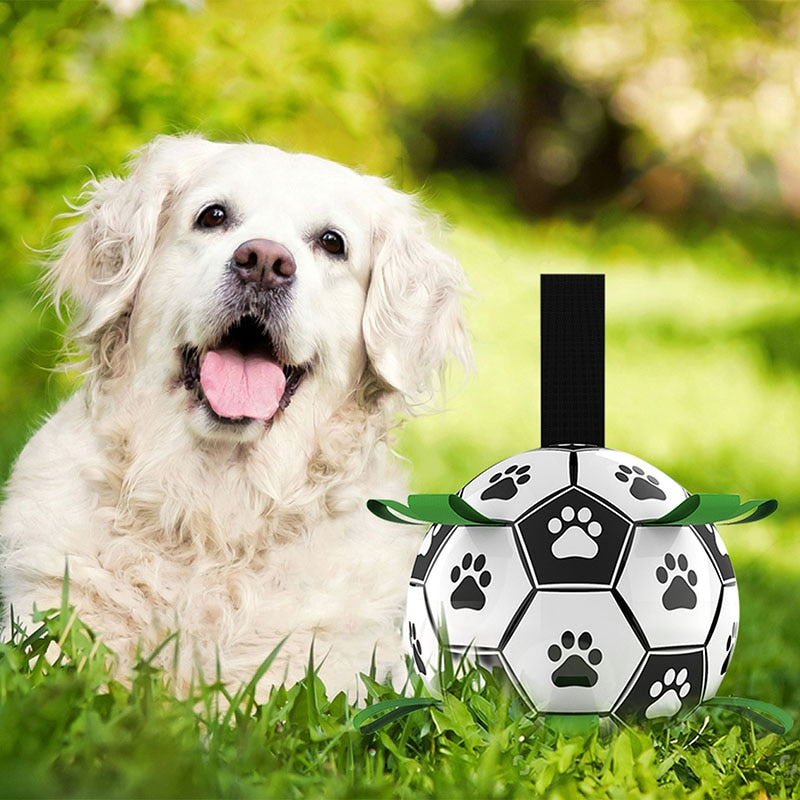 Interaktivní psí fotbalový míč