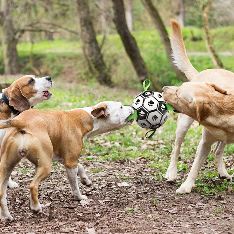 Interaktivní psí fotbalový míč
