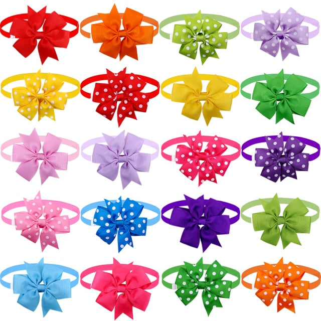 Set okrasných motýlků