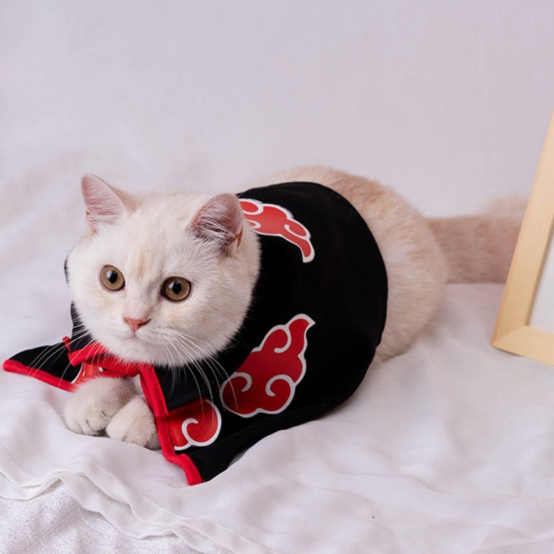Legrační kostýmek pro kočky