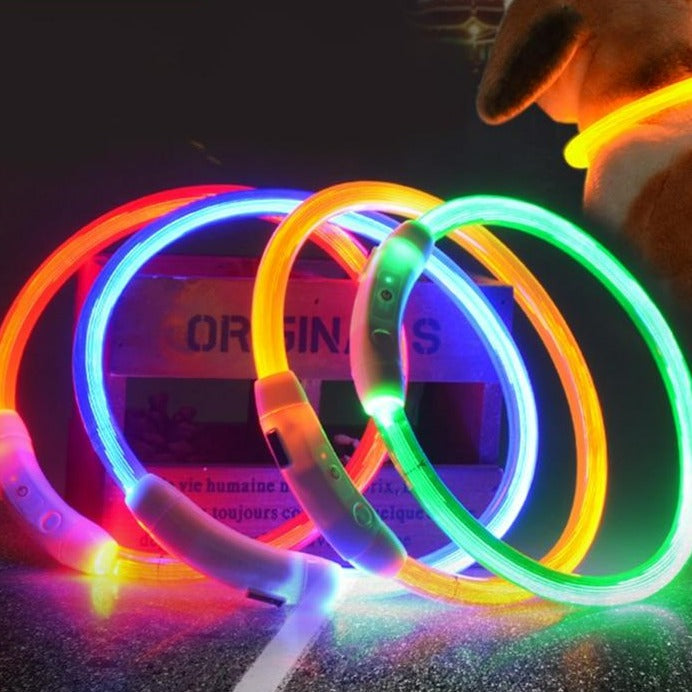 Nabíjecí LED obojek pro psy