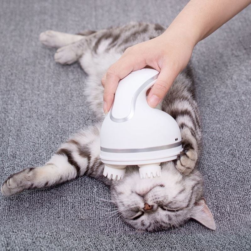 Electrický masážní přístroj pro kočky