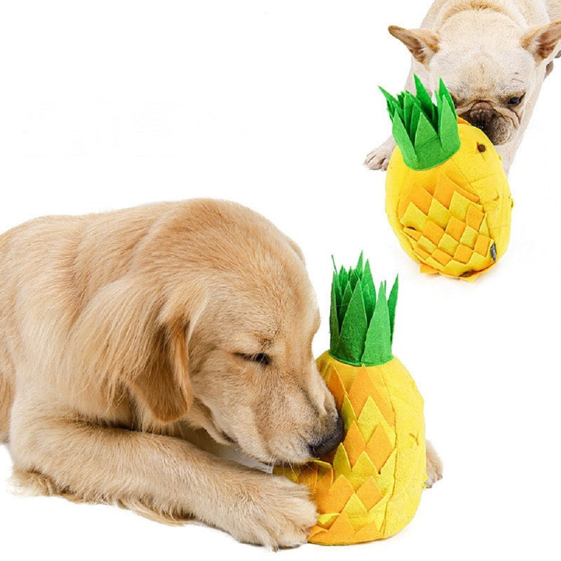 Interaktivní ananas
