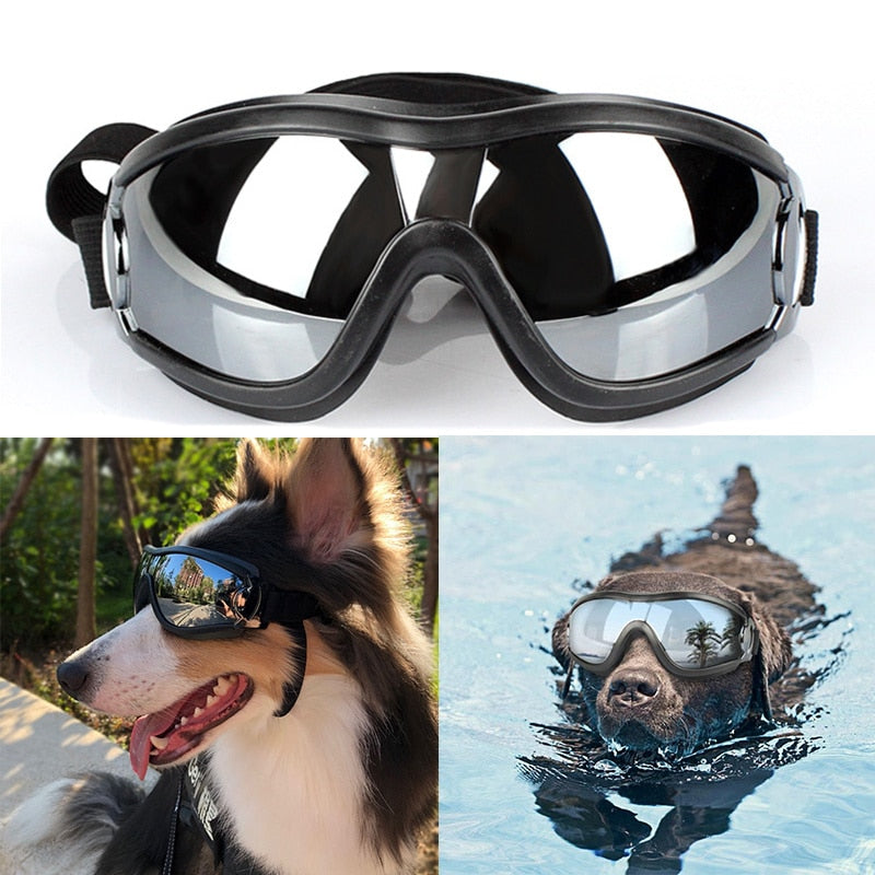 Psí ochranné brýle