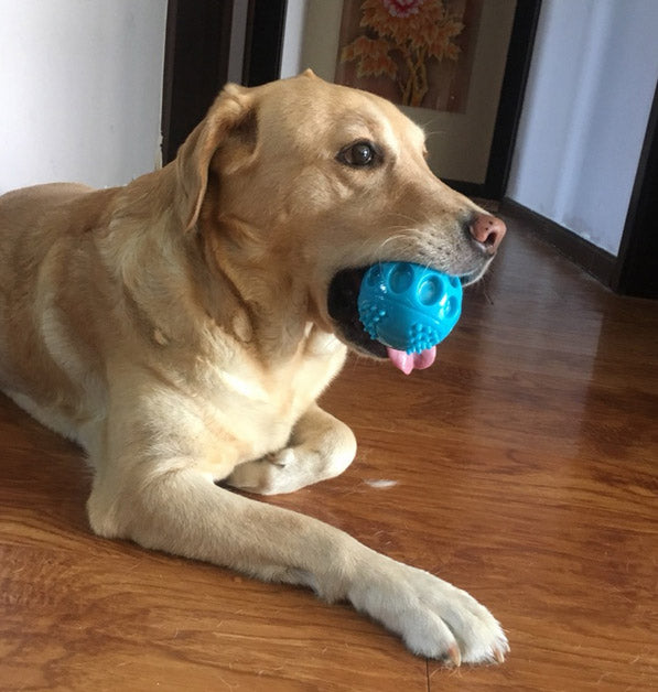 Pískací míček pro psy